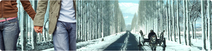 honeymoon in gulmarg